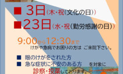 11月の休日診療